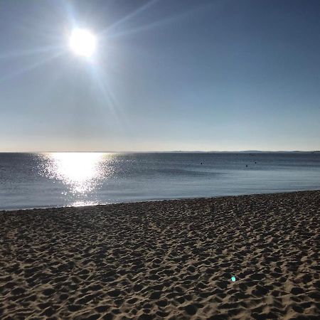 T2 Vue Exceptionnelle Sur Le Bassin D'Arcachon Daire Andernos-les-Bains Dış mekan fotoğraf